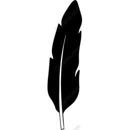 Elegant Black Feather
