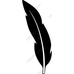 Elegant Feather