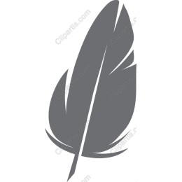 Stylized Feather