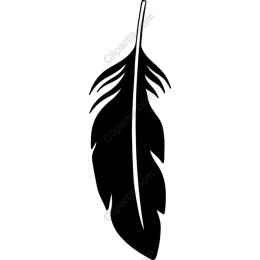 Elegant Feather