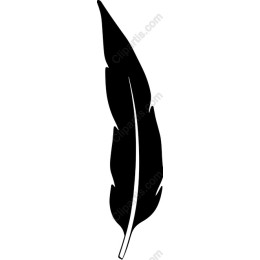 Elegant Black Feather