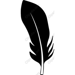 Black Feather
