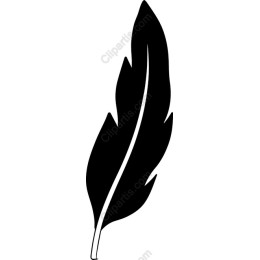 Elegant Black Feather