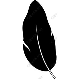 Black Feather