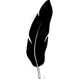 Unique Feather