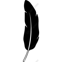 Elegant Black Feather