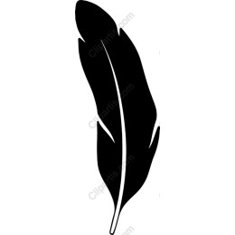 Feather - Minimalist