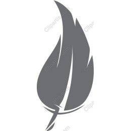 Elegant Feather