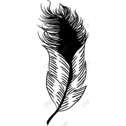 Stylized Feather