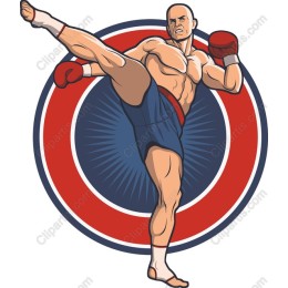 Dynamic Martial Artist Kick