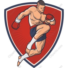 Dynamic Fighter Emblem