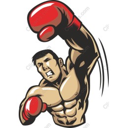 Dynamic Boxer
