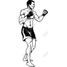 Dynamic Male Fighter