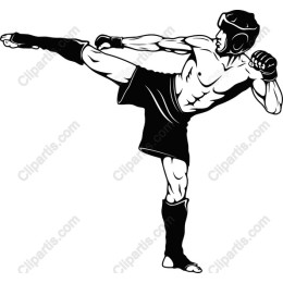 Dynamic High Kick Martial Artist