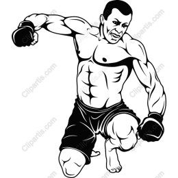Dynamic Boxing Pose