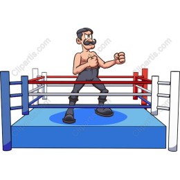 Classic Boxer