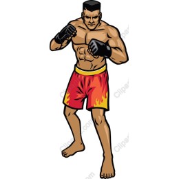Fighter Action Pose