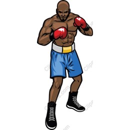 Professional Boxer