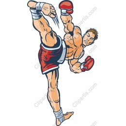 Dynamic Martial Artist