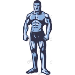Muscular Strength