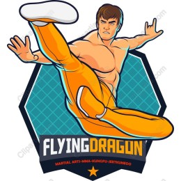 Flying Dragon Martial Arts