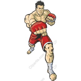Dynamic Boxer in and