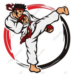 Dynamic Karate Practitioner