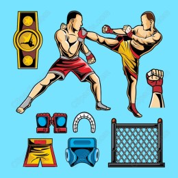 Dynamic Martial Arts Combat