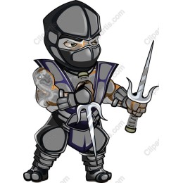 Ninja Warrior