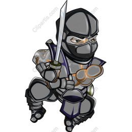 Ninja Warrior