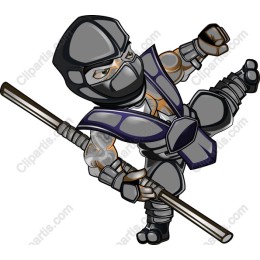 Ninja in Action