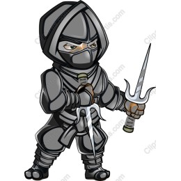 Heroic Ninja