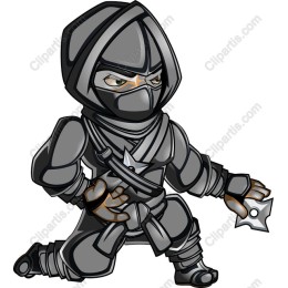 Fierce Ninja