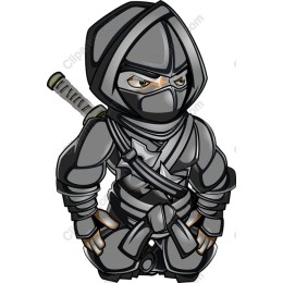 Ninja Warrior