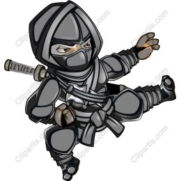 Dynamic Ninja