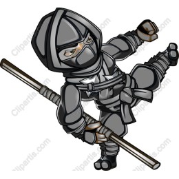 Ninja - Dynamic Martial Artist