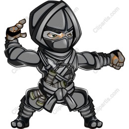 Ninja Warrior