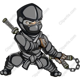 Dynamic Ninja