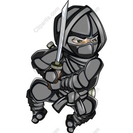 Ninja Warrior