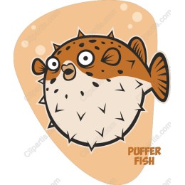Adorable Puffer Fish