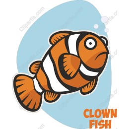 Clown Fish