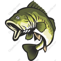 Majestic Bass Fish