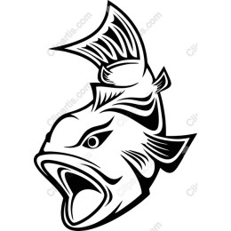 Dynamic Fish