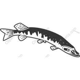 Graceful Aquatic Fish