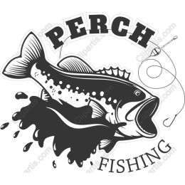 Perch Fishing