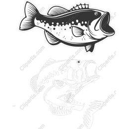Leaping Bass Fish