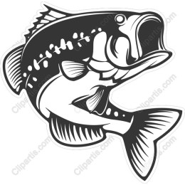 Dynamic Bass Fish