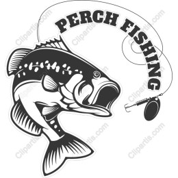 Perch Fishing