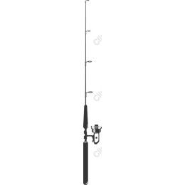 Fishing Rod