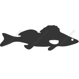 Sleek Fish
